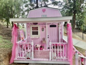 tiny-pink-cabin-with-porch-cute