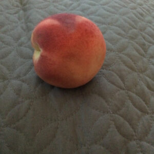 a white peach