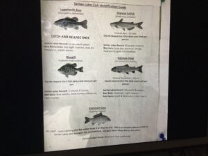 identification chart of fish in lakes with sketches of them